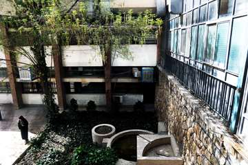 بهار در قاب دانشگاه علوم بهزیستی و توانبخشی